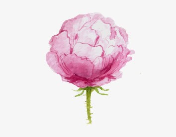 水彩粉色的花png免抠素材_88icon https://88icon.com 水彩粉色的花