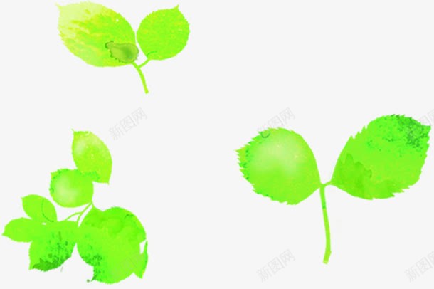 绿色卡通春天树叶手绘png免抠素材_88icon https://88icon.com 卡通 春天 树叶 绿色