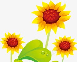 创意海报夏日植物黄色花朵素材