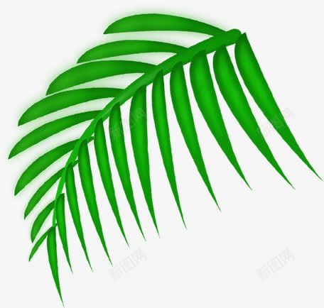 手绘绿色植物叶子海报图png免抠素材_88icon https://88icon.com 叶子 海报 绿色植物