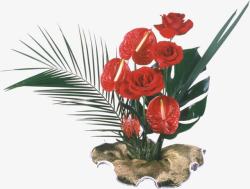 一盆红色花朵植物素材