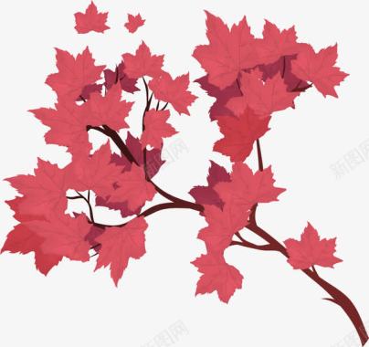 花朵卡通装饰红枫矢量图图标图标
