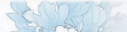 淡蓝色花纹背景素材