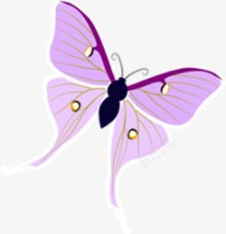 紫色梦幻手绘蝴蝶素材