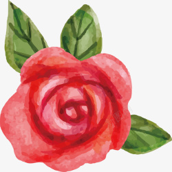 水彩玫瑰花朵插画矢量图素材