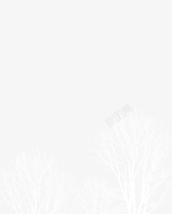 白色树杆白色枯树背景高清图片