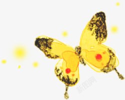 黄色明亮蝴蝶手绘素材