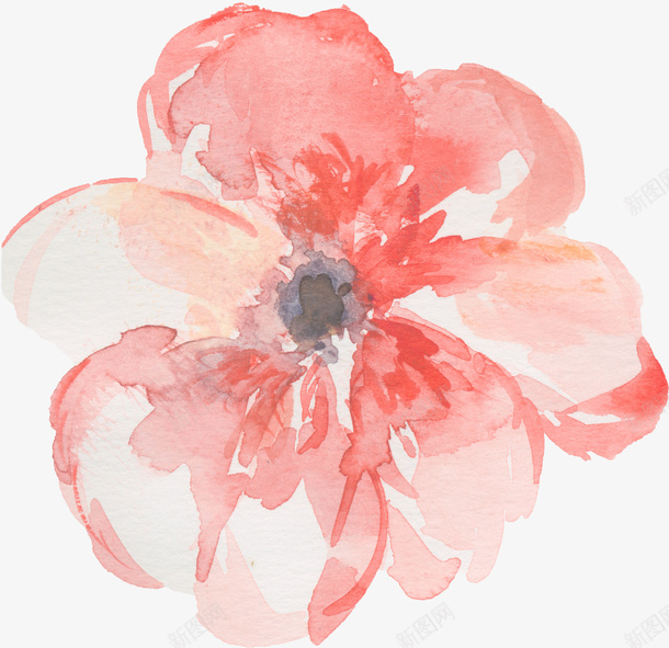 水彩质感手绘花朵png免抠素材_88icon https://88icon.com 手绘 水彩 红色 花朵 装饰图案