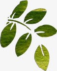 创意手绘合成绿色的树叶效果植物png免抠素材_88icon https://88icon.com 创意 合成 效果 树叶 植物 绿色