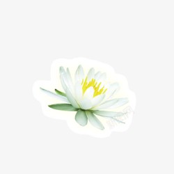 白色花朵花卉花瓣素材