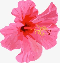 粉色水彩鲜花花朵素材