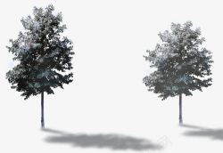 创意摄影合成画外的树木环境渲染素材