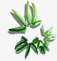 绿色创意草本植物合成png免抠素材_88icon https://88icon.com 创意 合成 绿色 草本植物