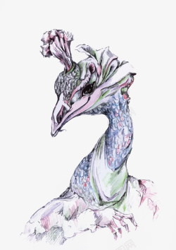 孔雀矢量图素材