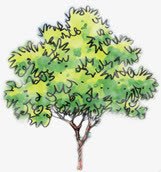 彩绘合成创意绿色的树木素材