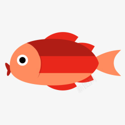 红色观赏鱼手绘卡通鱼类水族素材