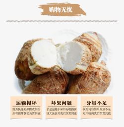 香芋芋头素材