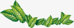 绿色艺术手绘叶脉树叶素材