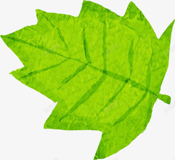 绿色手绘树叶植物艺术png免抠素材_88icon https://88icon.com 树叶 植物 绿色 艺术