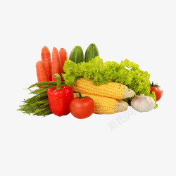 一组水果蔬菜素材