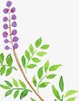 手绘绿色树叶紫色铃兰素材