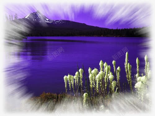 夜幕中的湖边png免抠素材_88icon https://88icon.com 唯美 夜幕 放散效果 紫色