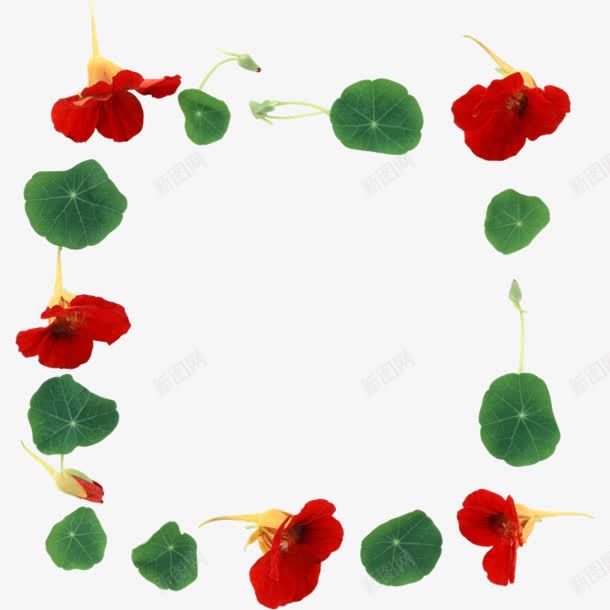 红色花瓣边框png免抠素材_88icon https://88icon.com 红色 花瓣 边框