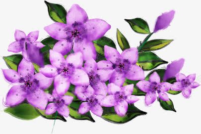 紫色花卉约会背景png免抠素材_88icon https://88icon.com 紫色 约会 背景 花卉