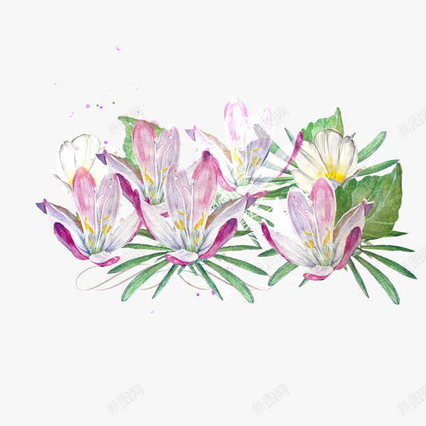 手绘水彩花卉装饰图案png免抠素材_88icon https://88icon.com 手绘 水彩 紫色 花卉 装饰图案