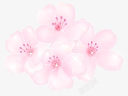手绘粉色梦幻花纹花朵装饰素材