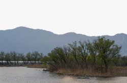 北京稻香湖春天风景素材