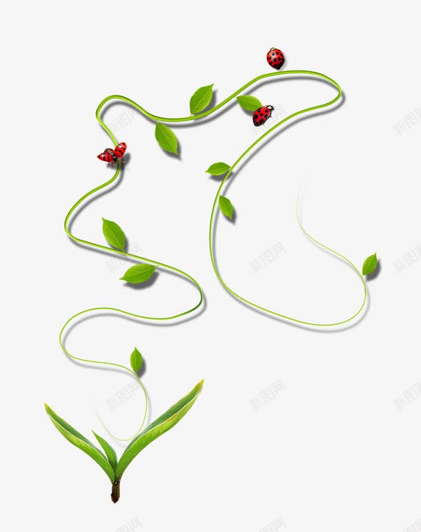 创意小绿叶藤上的瓢虫png免抠素材_88icon https://88icon.com 创意小绿叶藤上的瓢虫 叶子 小虫子 绿色
