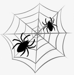 蜘蛛网上的蜘蛛素材