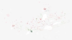 手绘梦幻白色小花植物素材