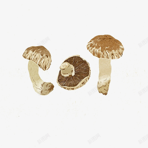 写实手绘蔬菜psd免抠素材_88icon https://88icon.com 手绘 水彩 蔬菜 蘑菇