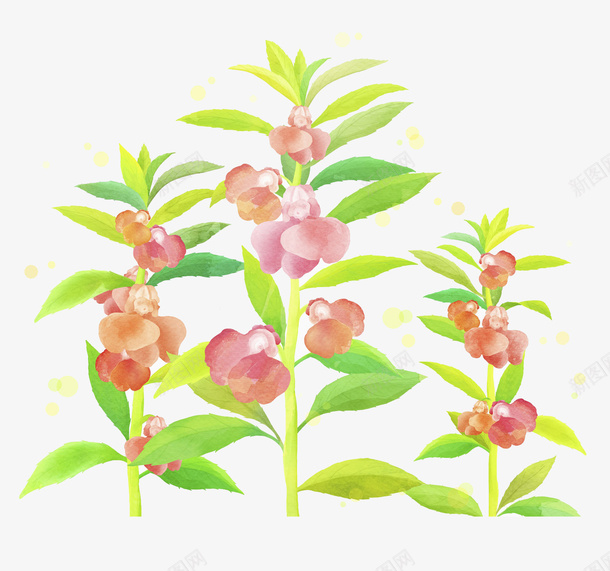 粉色鲜花水彩插画png免抠素材_88icon https://88icon.com 叶子 园艺 春天 植物 粉色鲜花水彩插画 装饰 野花 鲜花