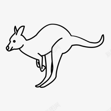 袋鼠澳大利亚动物小袋鼠图标图标