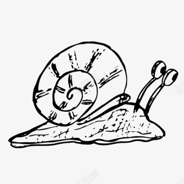 自然蜗牛动物手绘图标图标