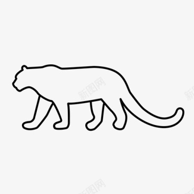 动物雪豹猫豹图标图标