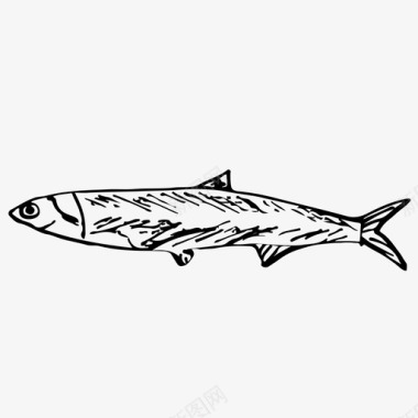 凤尾鱼鱼食物图标图标