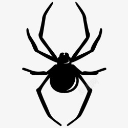 蜘蛛捕食蜘蛛动物黑寡妇图标高清图片