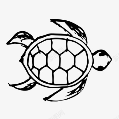 素描山海龟动物自然图标图标