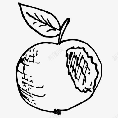 苹果杏子食物图标图标