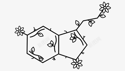 神经递质血清素化学快乐图标图标