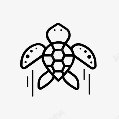 海龟动物海图标图标