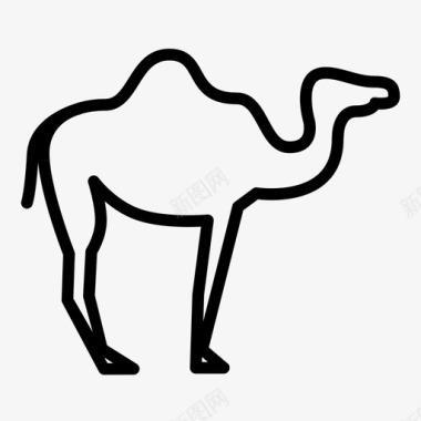 骆驼骆驼动物印度图标图标