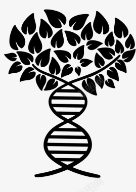 遗传调控家谱遗传学基因组图标图标