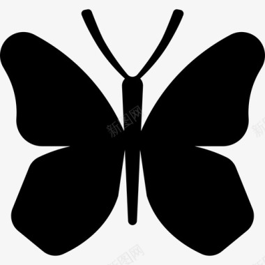蝴蝶翅膀动物自由的动物图标图标
