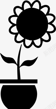 发财树盆栽向日葵盆栽图标图标