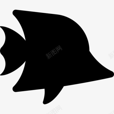热带鱼动物自由动物图标图标